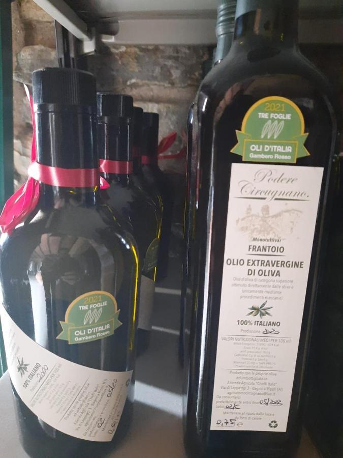 Agriturismo Circugnano Grassina Eksteriør billede