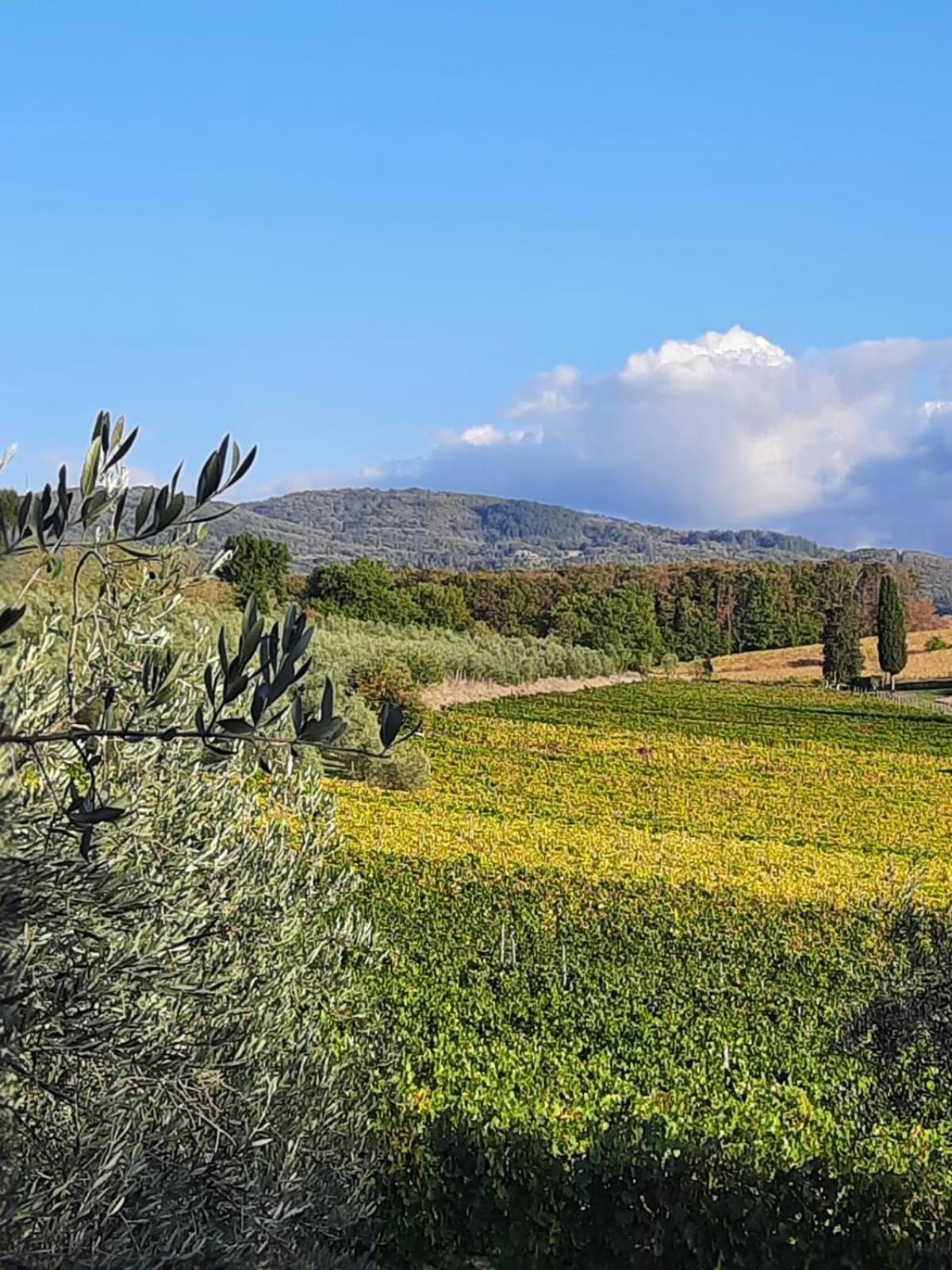 Agriturismo Circugnano Grassina Eksteriør billede