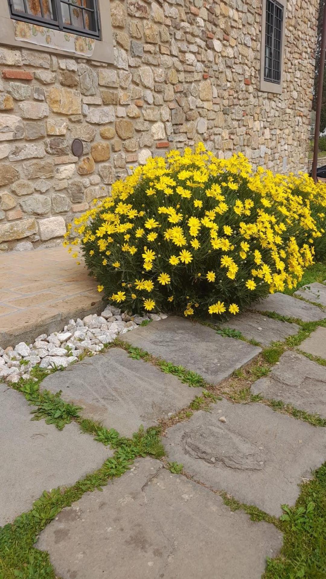 Agriturismo Circugnano Grassina Eksteriør billede