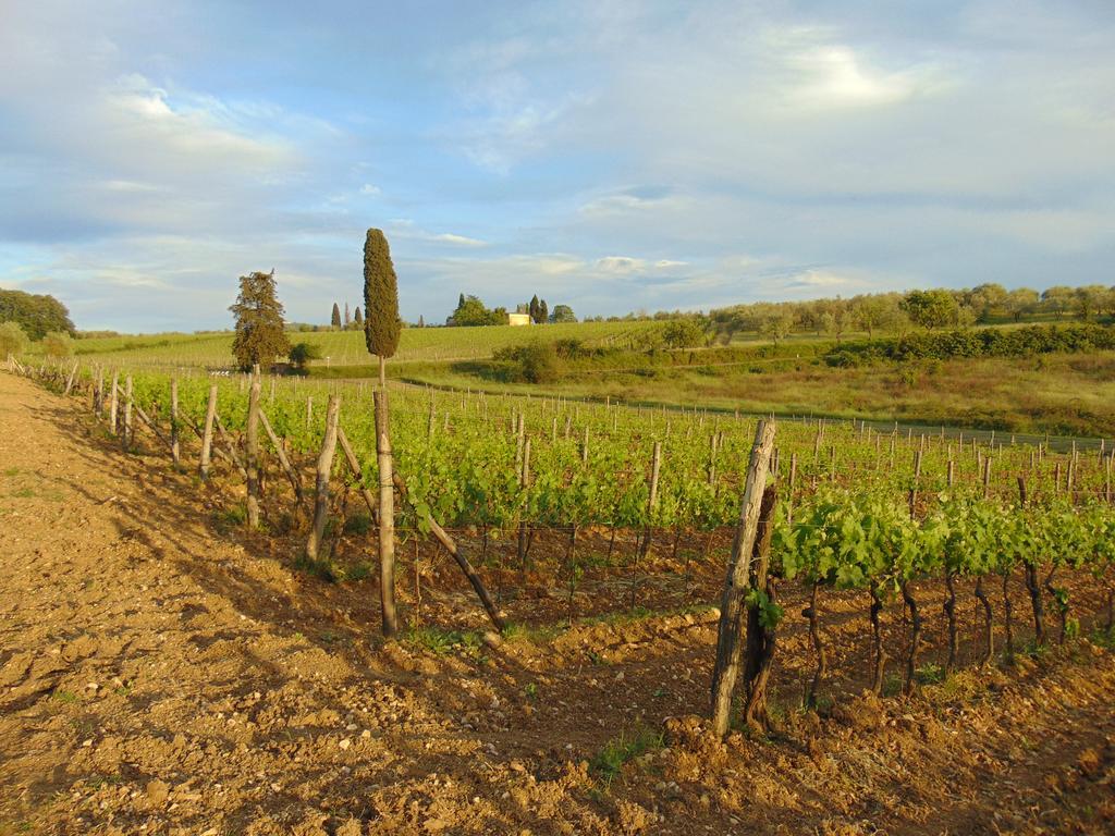 Agriturismo Circugnano Grassina Eksteriør billede