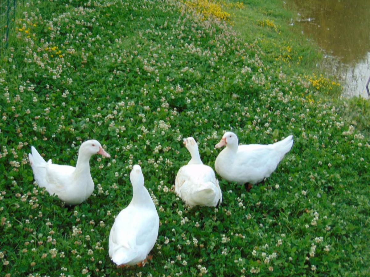 Agriturismo Circugnano Grassina Eksteriør billede