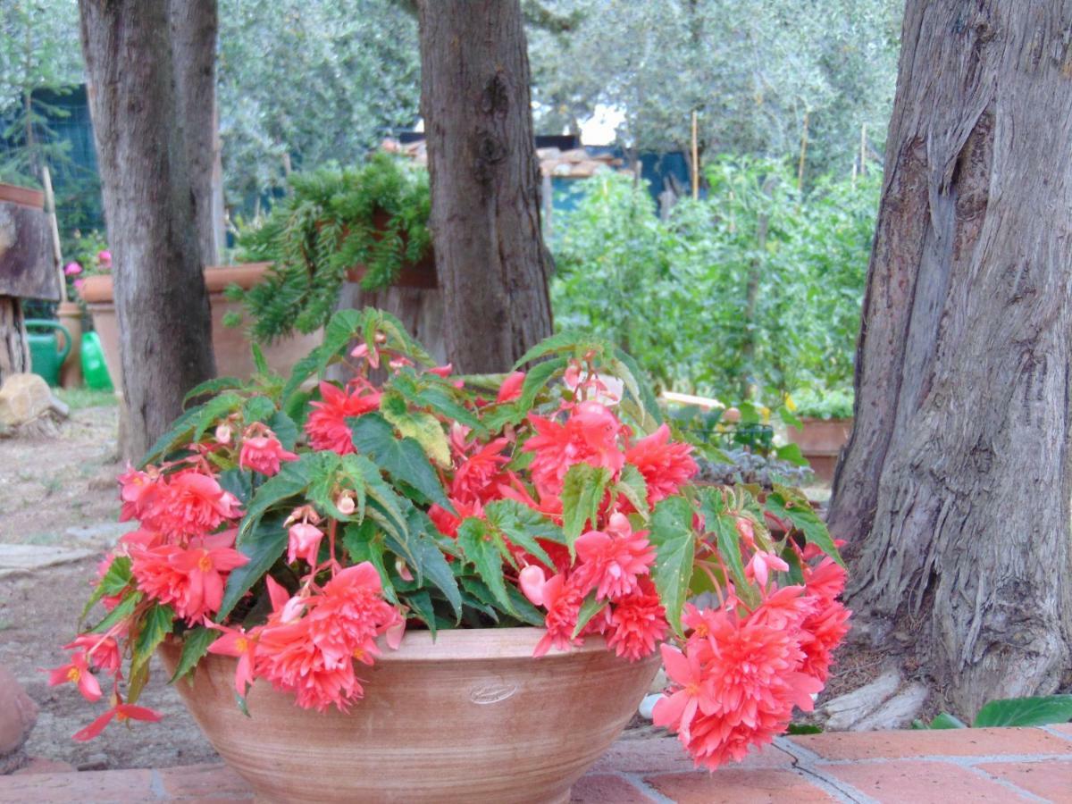 Agriturismo Circugnano Grassina Eksteriør billede
